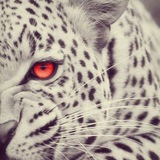 Less Summer Update Info Perpajakan